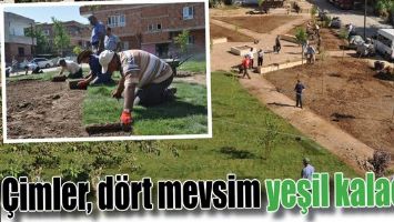 &Ccedil;İMLER, D&Ouml;RT MEVSİM YEŞİL KALACAK