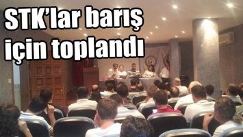 STK&rsquo;LAR BARIŞ İ&Ccedil;İN TOPLANDI