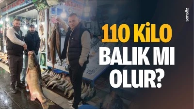 110 kilo balık mı olur? Botan &Ccedil;ayı&rsquo;nda avlandı