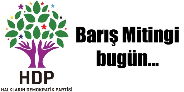 BARIŞ MİTİNGİ BUG&Uuml;N&hellip;
