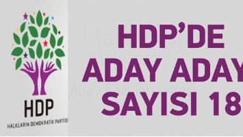 HDP&rsquo;DE ADAY ADAYI SAYISI 18