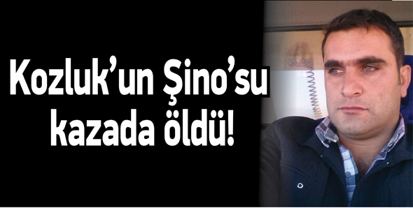 KOZLUK&rsquo;UN ŞİNO&rsquo;SU KAZADA &Ouml;LD&Uuml;!