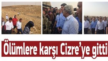 &Ouml;L&Uuml;MLERE KARŞI CİZRE&rsquo;YE GİTTİLER