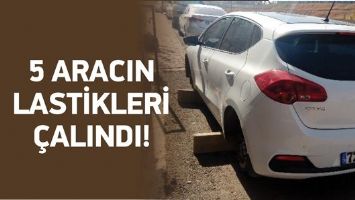 5 ARACIN LASTİKLERİ &Ccedil;ALINDI!