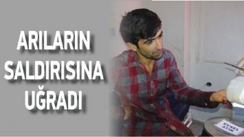ARILARIN SALDIRISINA UĞRADI