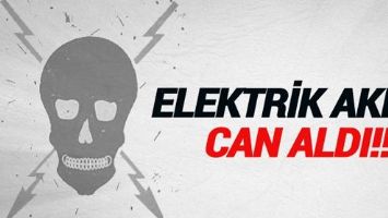 ELEKTRİK CAN ALDI!
