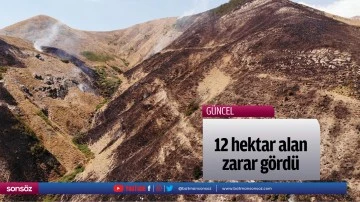 12 hektar alan zarar g&ouml;rd&uuml;