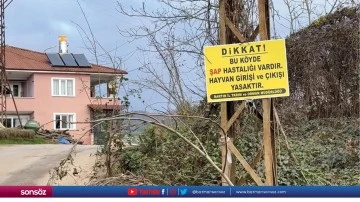 12 k&ouml;yde şap karantinası başlatıldı