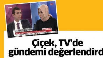 &Ccedil;İ&Ccedil;EK, TV&rsquo;DE G&Uuml;NDEMİ DEĞERLENDİRDİ