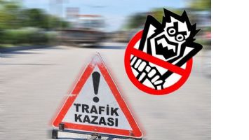 MISIR Y&Uuml;KL&Uuml; KAMYONET ŞARAMPOLE YUVARLANDI