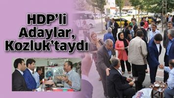 HDP&rsquo;Lİ ADAYLAR, KOZLUK&rsquo;TAYDI