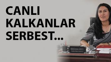 CANLI KALKANLAR SERBEST