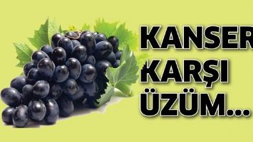 KANSERE KARŞI &Uuml;Z&Uuml;M...