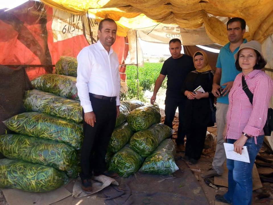 6 AYDA 80 TON &Uuml;R&Uuml;N ELDE EDİLDİ