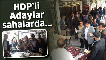 HDP&rsquo;Lİ ADAYLAR SAHALARDA...