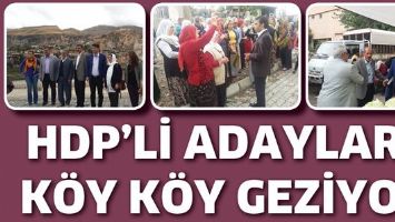 HDP&rsquo;Lİ ADAYLAR, K&Ouml;Y K&Ouml;Y GEZİYOR