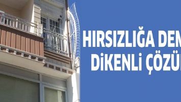 HIRSIZLIĞA DEMİR DİKENLİ &Ccedil;&Ouml;Z&Uuml;M
