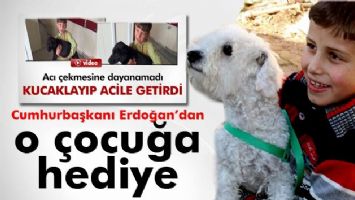 Erdoğan, hayvansever &Ouml;mer Faruk&rsquo;a k&ouml;pek hediye etti