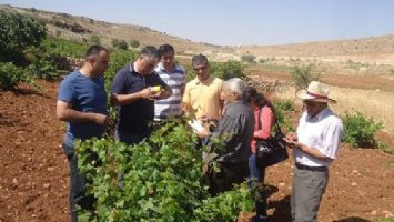 M&Uuml;HENDİSLER, BAĞLARI KONTROL ETTİ