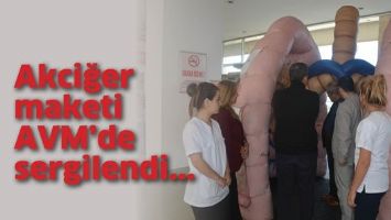 AKCİĞER MAKETİ AVM&rsquo;DE SERGİLENDİ