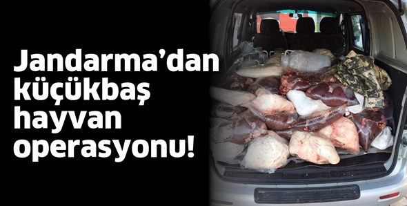 JANDARMA&rsquo;DAN K&Uuml;&Ccedil;&Uuml;KBAŞ HAYVAN OPERASYONU!
