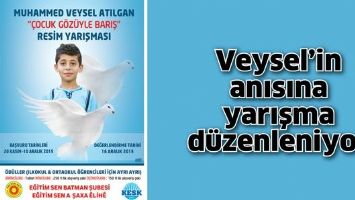 VEYSEL&rsquo;İN ANISINA YARIŞMA D&Uuml;ZENLENİYOR