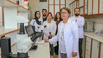 13 mikroorganizma i&ccedil;eren mikrobiyal g&uuml;bre geliştirildi