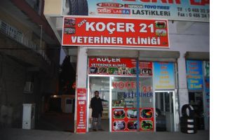 KO&Ccedil;ER VETERİNER&rsquo;LE HAYVANLAR DAHA SAĞLIKLI