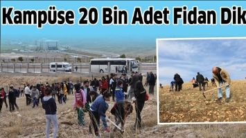 KAMP&Uuml;SE 20 BİN ADET FİDAN DİKİLDİ
