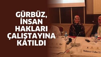 G&Uuml;RB&Uuml;Z, İNSAN HAKLARI &Ccedil;ALIŞTAYINA KATILDI