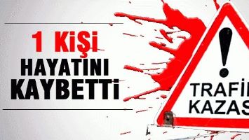 KAZA CAN ALDI!