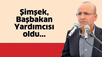 ŞİMŞEK, BAŞBAKAN YARDIMCISI OLDU