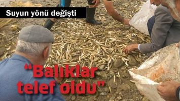 SUYUN Y&Ouml;N&Uuml; DEĞİŞTİ &ldquo;BALIKLAR TELEF OLDU&rdquo;