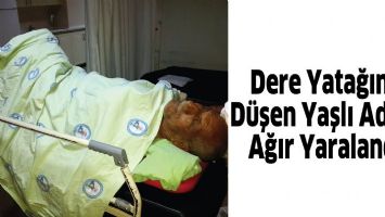 DERE YATAĞINA D&Uuml;ŞEN YAŞLI ADAM AĞIR YARALANDI