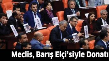 MECLİS, BARIŞ EL&Ccedil;İ&rsquo;SİYLE DONATILDI