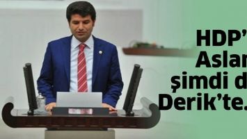HDP&rsquo;Lİ ASLAN, ŞİMDİ DE DERİK&rsquo;TE&hellip;