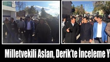 MİLLETVEKİLİ ASLAN, DERİK&rsquo;TE İNCELEME YAPTI
