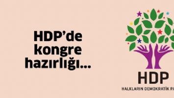 HDP&rsquo;DE KONGRE HAZIRLIĞI