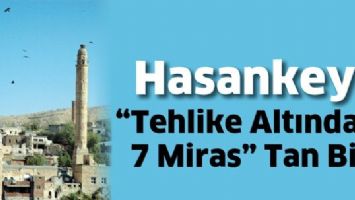 HASANKEYF, &ldquo;TEHLİKE ALTINDAKİ 7 MİRAS&rdquo;TAN BİRİ