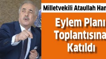HAMİDİ, EYLEM PLANI TOPLANTISINA KATILDI
