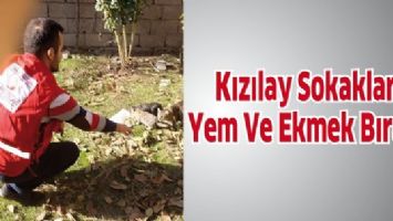 KIZILAY SOKAKLARA YEM VE EKMEK BIRAKTI