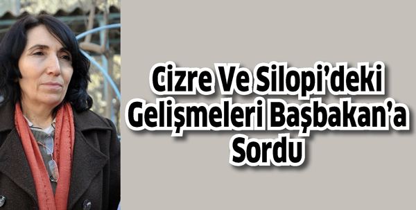 CİZRE VE SİLOPİ&rsquo;DEKİ GELİŞMELERİ BAŞBAKAN&rsquo;A SORDU