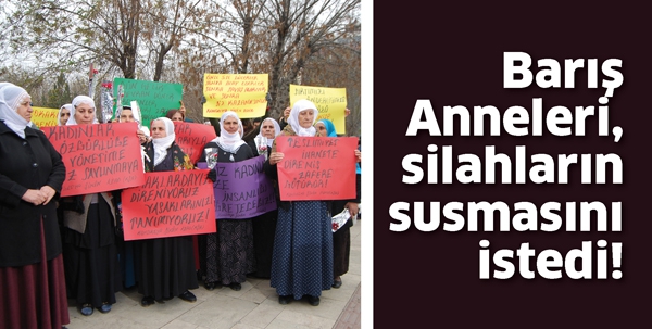 &ldquo;BİZ ANNEYİZ, CİĞERİMİZ YANIYOR&rdquo;