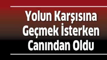 YOLUN KARŞISINA GE&Ccedil;MEK İSTERKEN CANINDAN OLDU