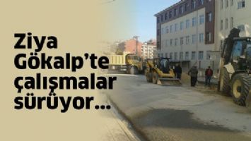 ZİYA G&Ouml;KALP&rsquo;TE &Ccedil;ALIŞMALAR S&Uuml;R&Uuml;YOR