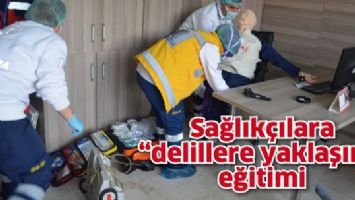 SAĞLIK&Ccedil;ILARA &ldquo;DELİLLERE YAKLAŞIM&rdquo; EĞİTİMİ