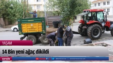 14 Bin yeni ağa&ccedil; dikildi