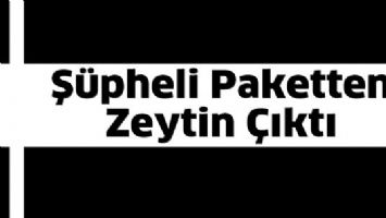 Ş&Uuml;PHELİ PAKETTEN ZEYTİN &Ccedil;IKTI