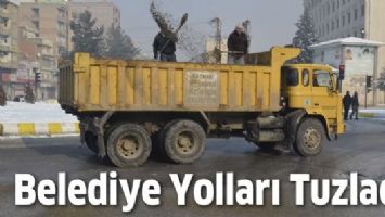 BELEDİYE YOLLARI TUZLADI