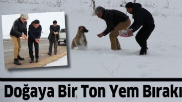 DOĞAYA BİR TON YEM BIRAKILDI